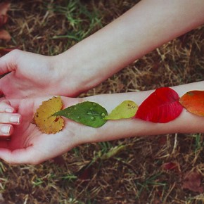 Welcome Autumn Equinox & Harvest Blessings~